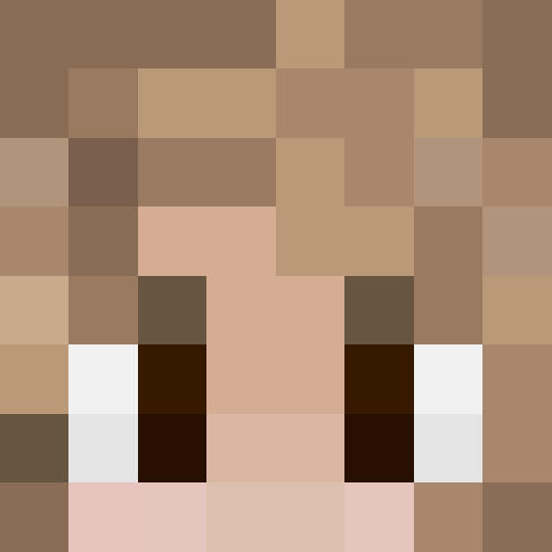 2022 Minecraft Skin